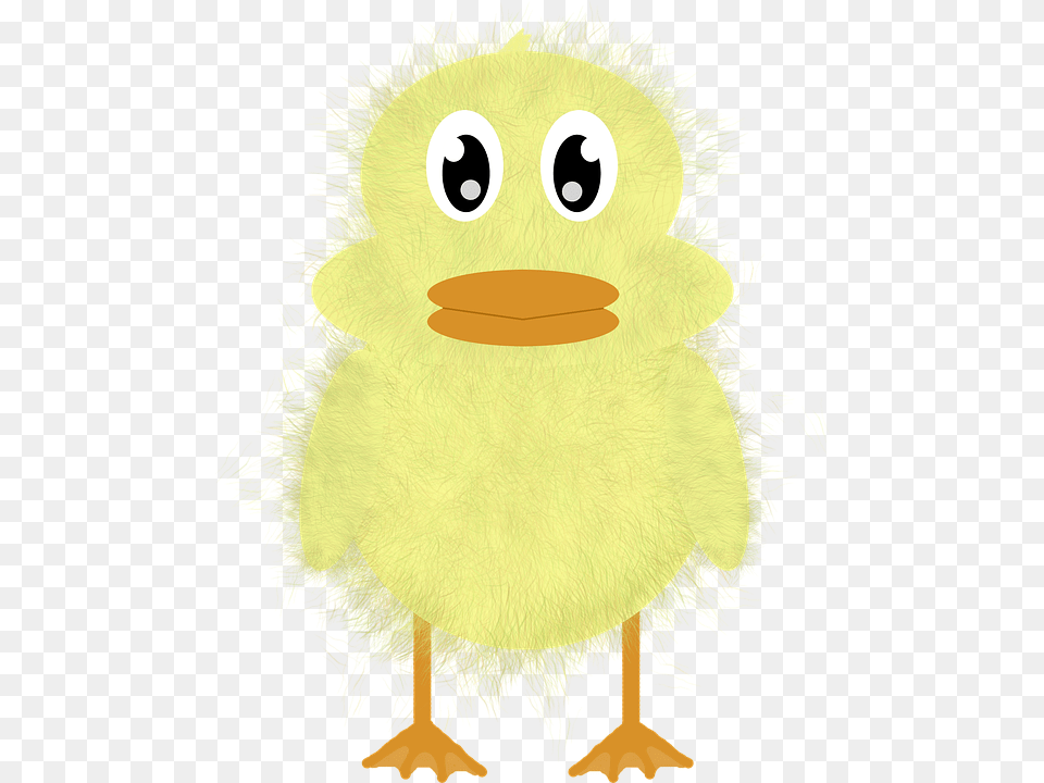 Duck, Animal, Bird, Fowl, Poultry Png