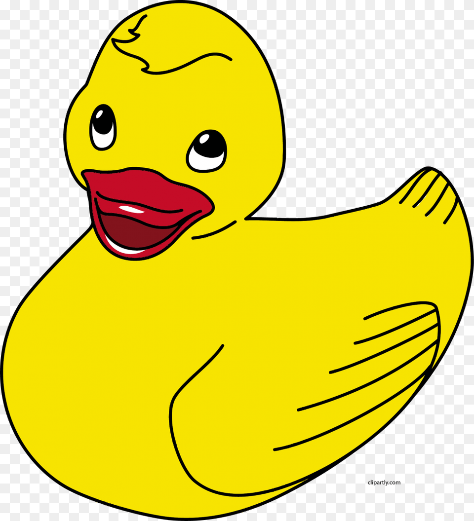 Duck, Animal, Beak, Bird, Face Free Transparent Png