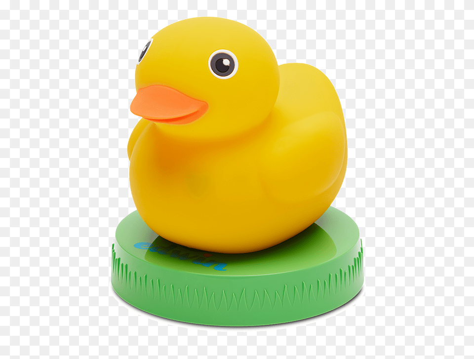 Duck, Toy, Animal, Bird Free Transparent Png