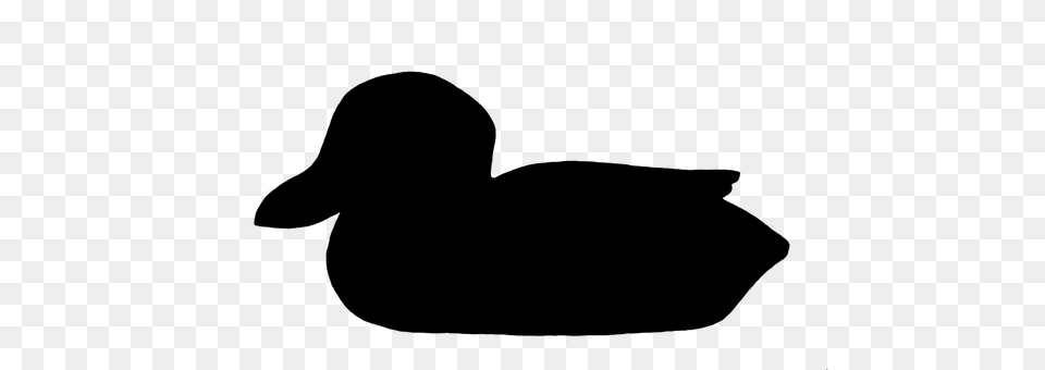 Duck Gray Free Transparent Png