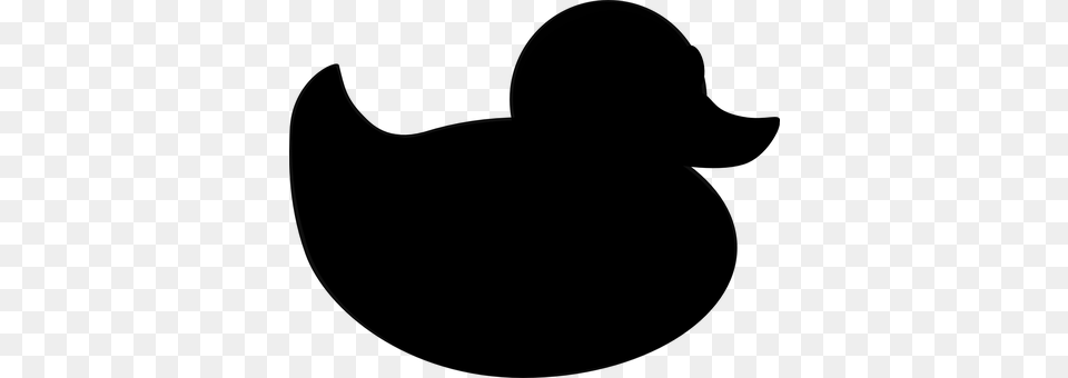 Duck Gray Png