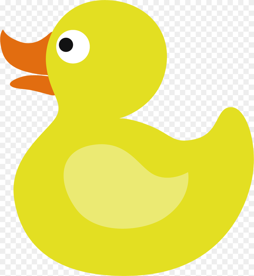 Duck, Animal, Bird, Beak, Astronomy Png