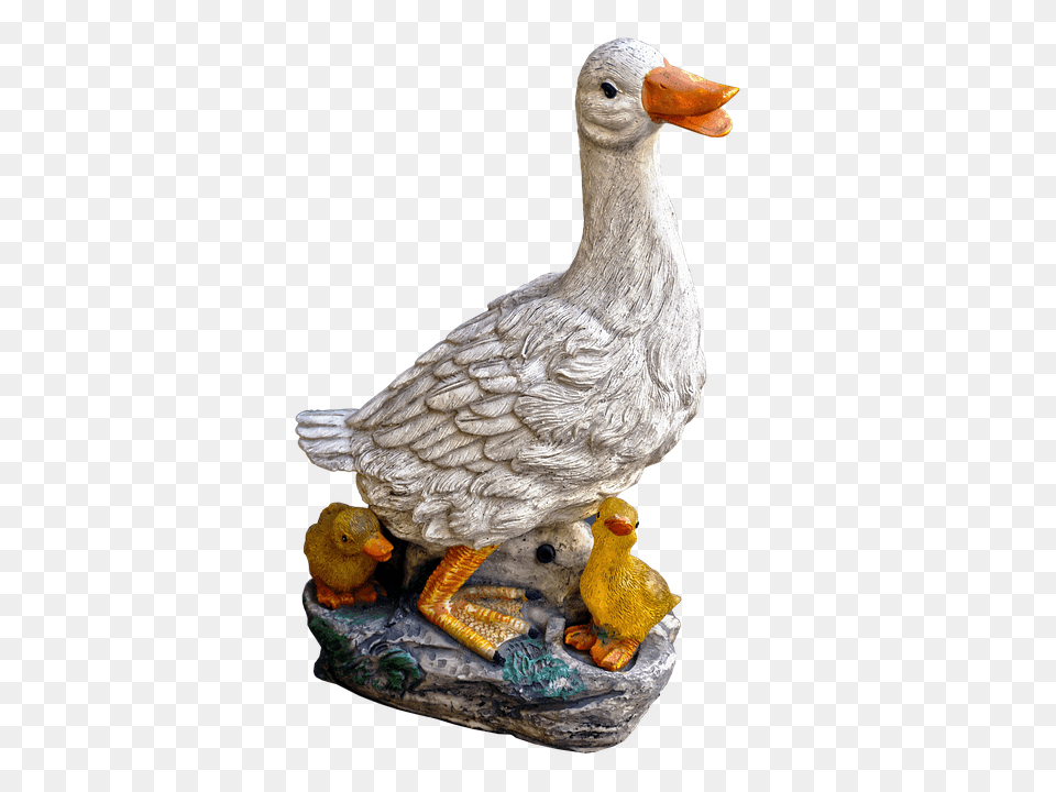 Duck Animal, Beak, Bird, Dodo Png