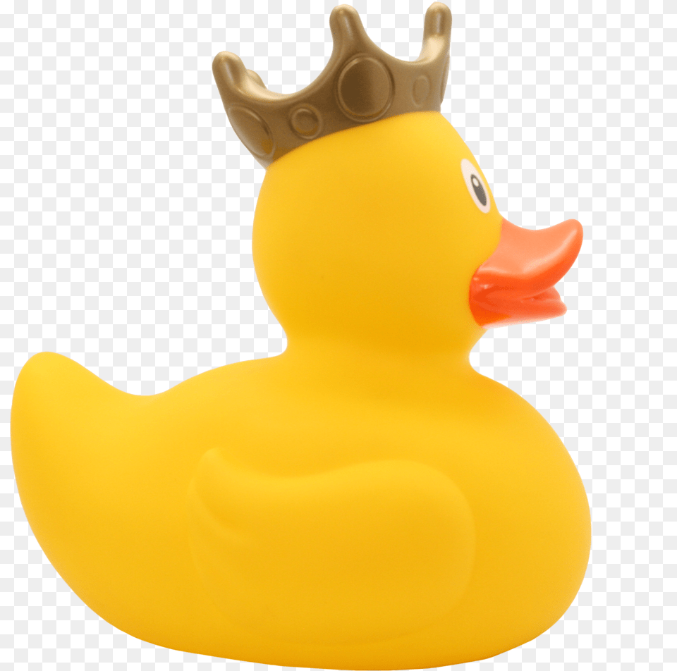 Duck, Animal, Bird, Toy, Beak Free Transparent Png