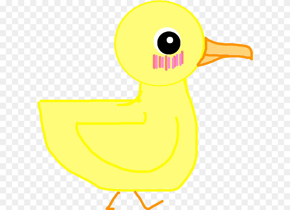 Duck, Animal, Bird, Beak, Person Free Png Download