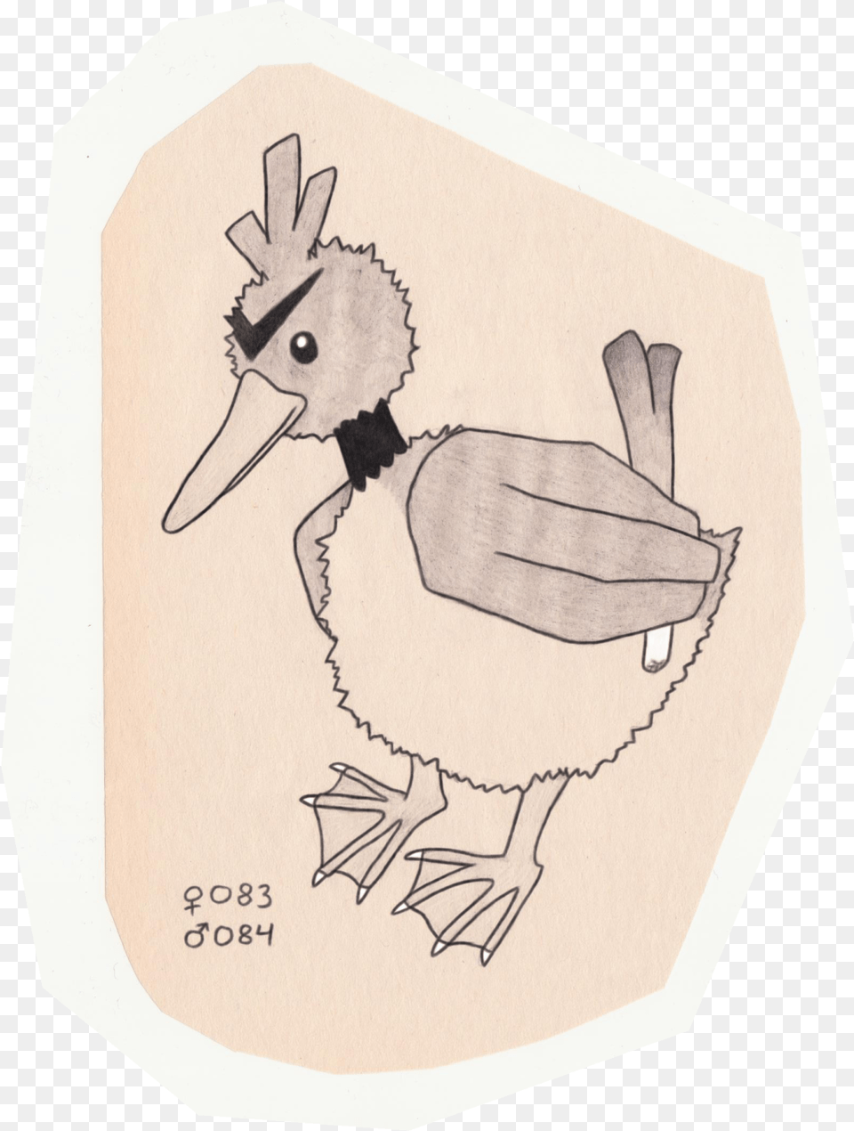 Duck, Person, Animal, Bird Png