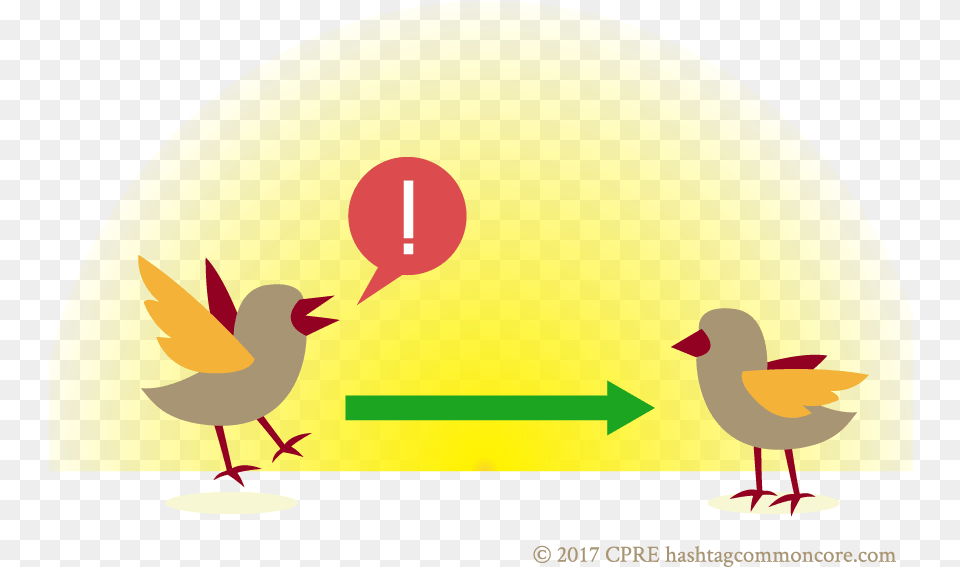 Duck, Animal, Bird, Balloon Png