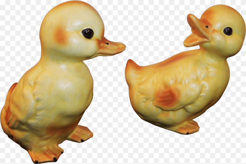 Duck, Animal, Fowl, Poultry, Chicken Png Image
