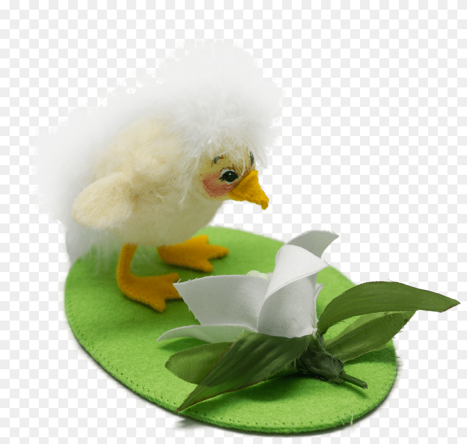 Duck Png