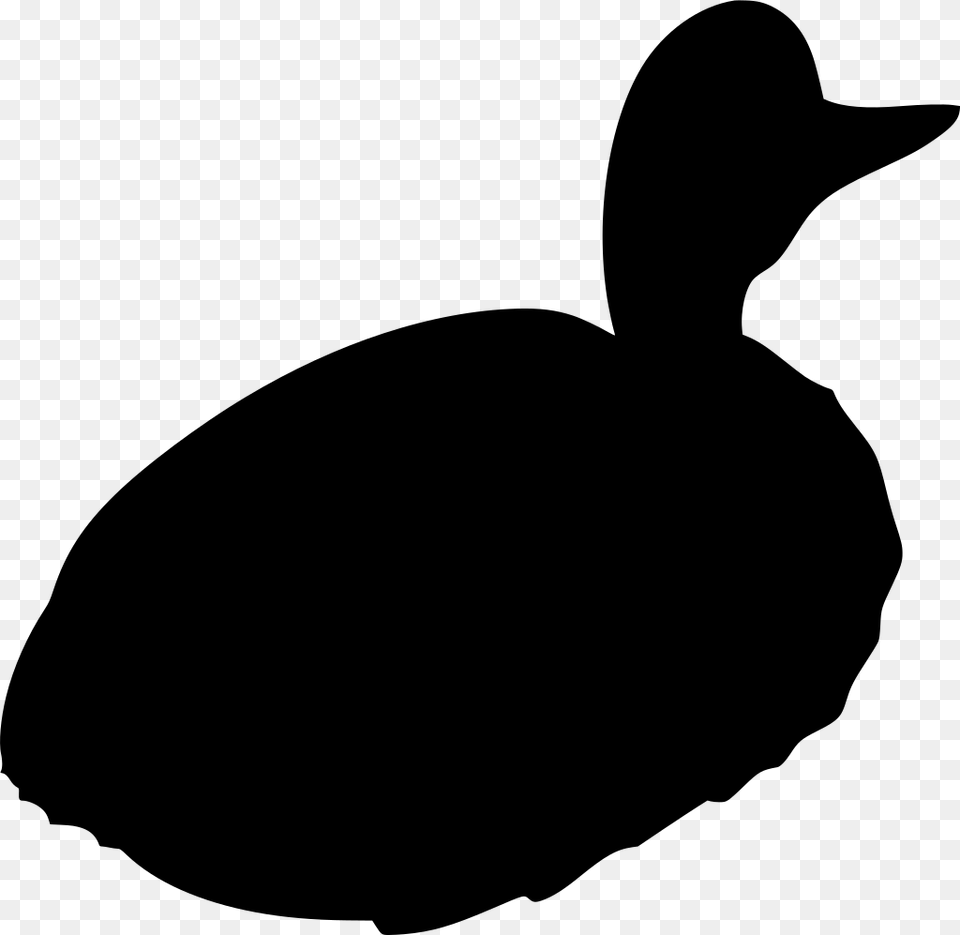 Duck, Gray Png