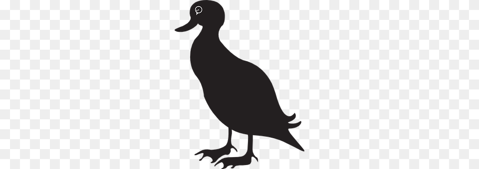 Duck Animal, Bird, Person, Anseriformes Free Transparent Png