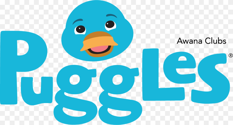 Duck, Face, Head, Person, Text Png