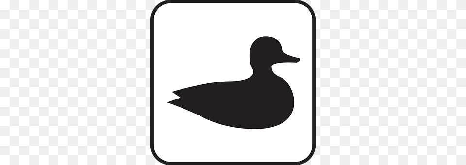 Duck Silhouette, Animal, Bird, Smoke Pipe Free Png Download