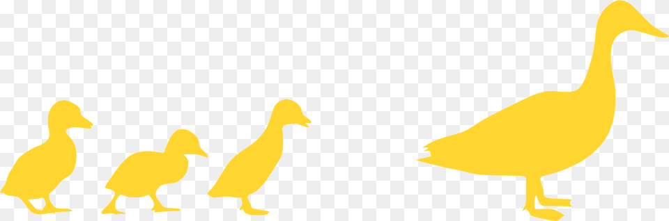 Duck And Chicks Silhouette, Animal, Bird, Waterfowl Png Image