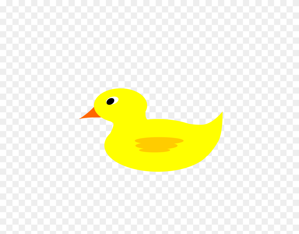 Duck Beak, Animal, Bird Png