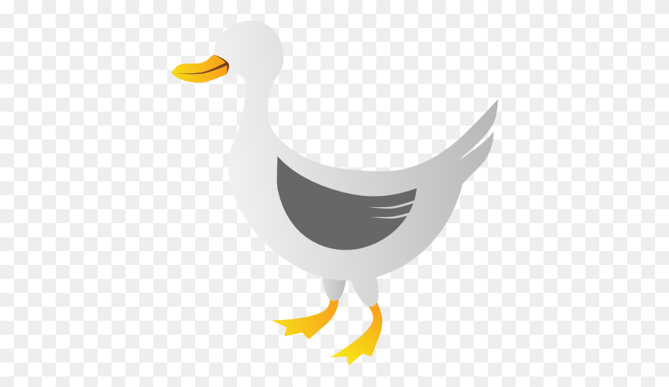 Duck Best Clipart, Animal, Bird, Waterfowl, Fish Free Png
