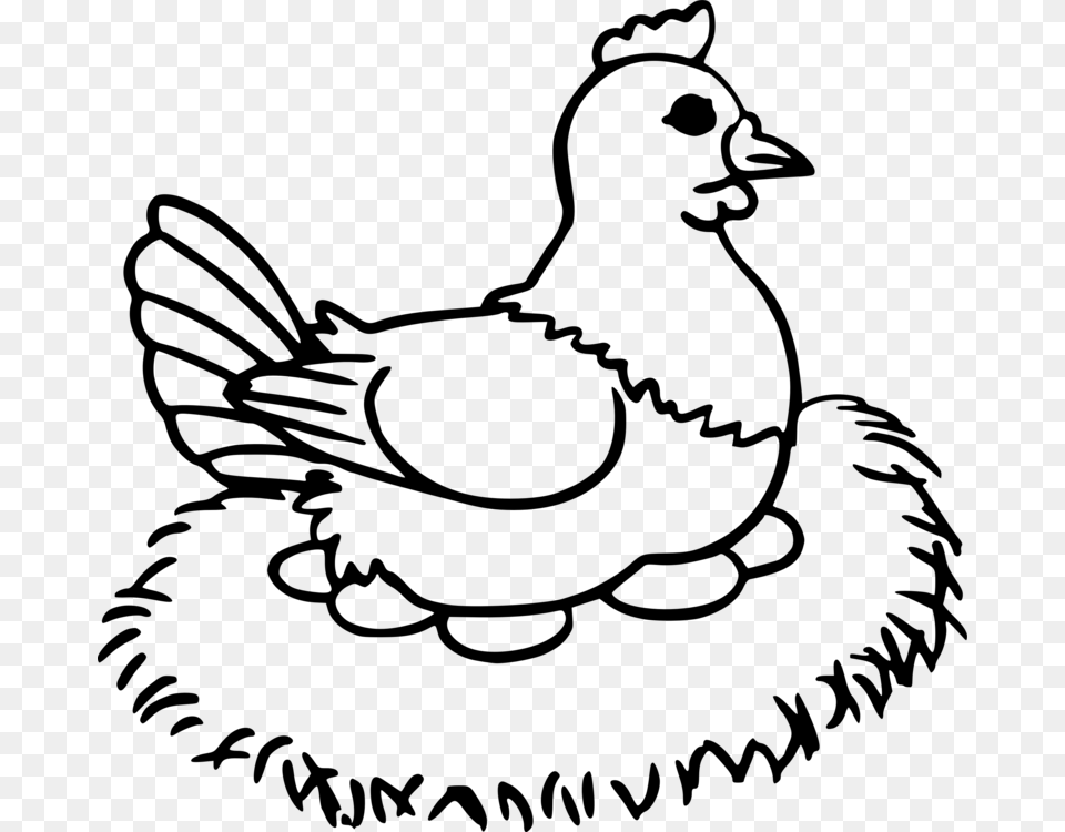 Duck Chicken Coloring Book Rooster Egg Drawing Of An Egg To A Chicken, Gray Free Png Download