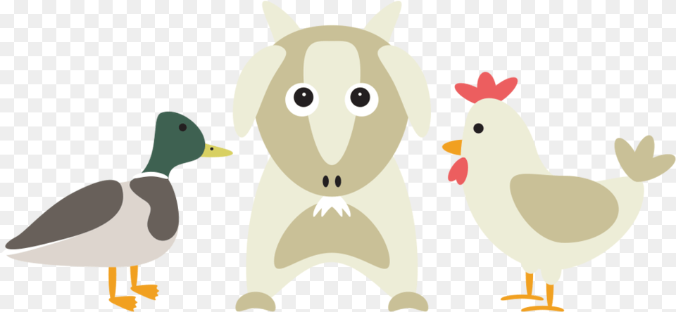Duck Chicken Feed Website Icon Duck And Chicken Icon, Animal, Bird Free Png Download