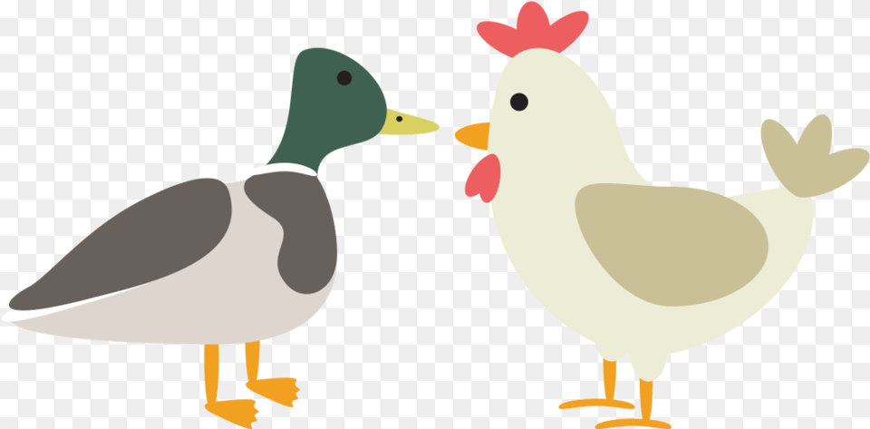 Duck Chicken Feed Website Icon Sellwood Pet Supply, Animal, Beak, Bird, Waterfowl Free Png Download