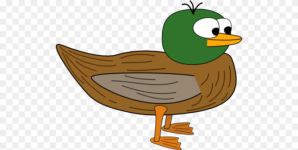 Duck Clip Art, Animal, Anseriformes, Bird, Waterfowl Png Image