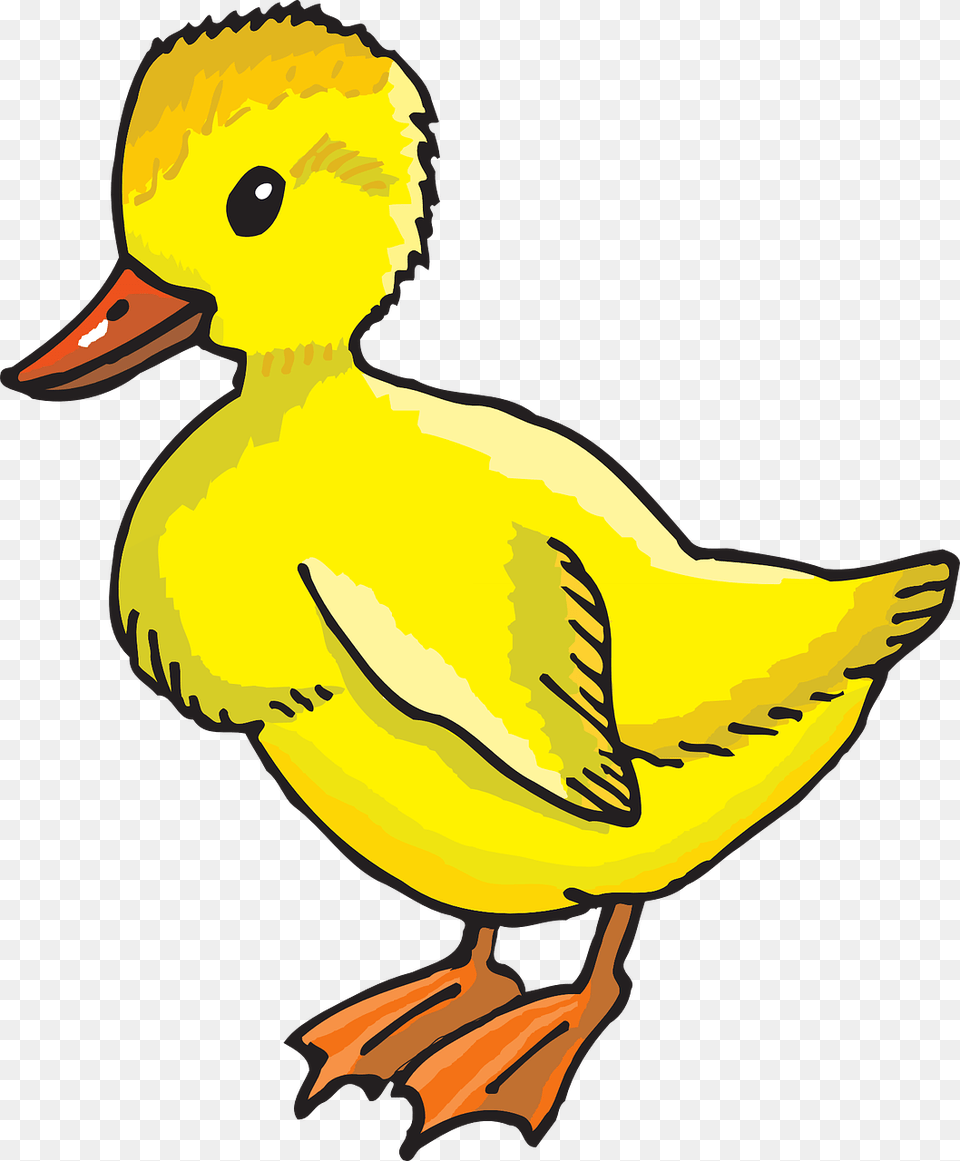 Duck Clip Art, Animal, Beak, Bird, Fish Png Image