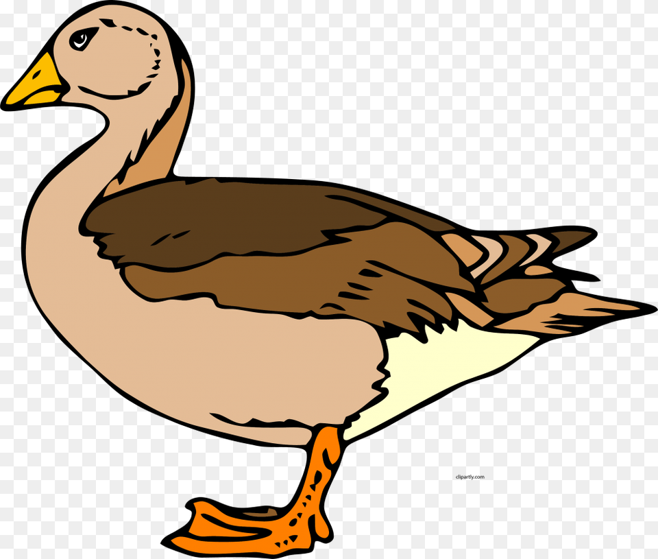 Duck Clip Art, Animal, Goose, Bird, Waterfowl Png Image
