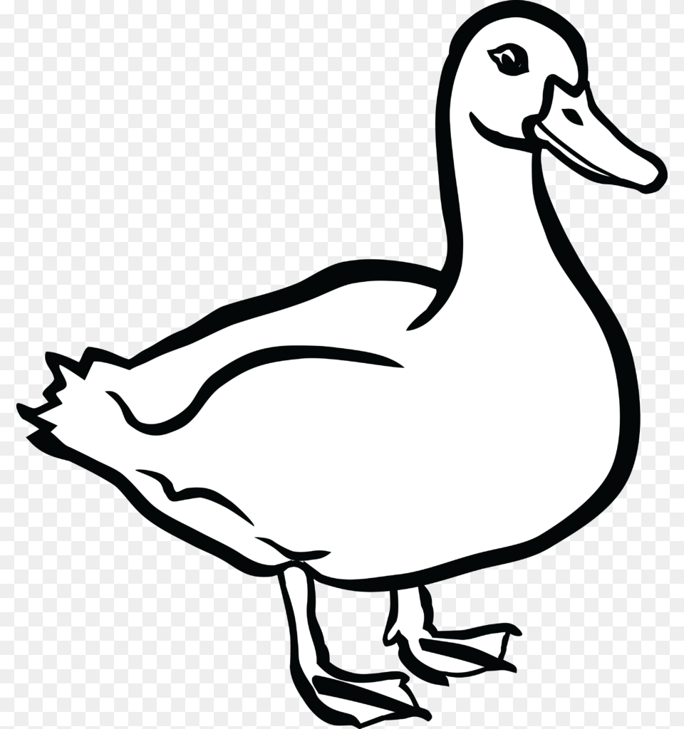 Duck Clip Art, Animal, Bird, Adult, Female Png Image