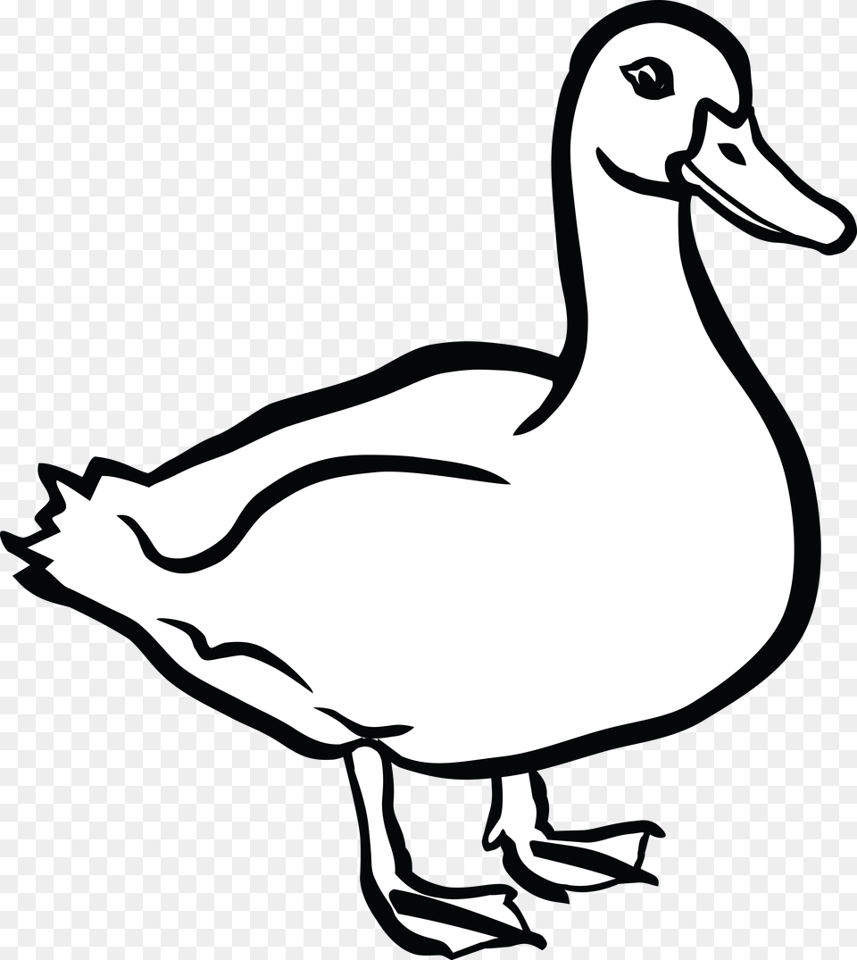 Duck Clip Art, Animal, Bird, Adult, Female Free Transparent Png