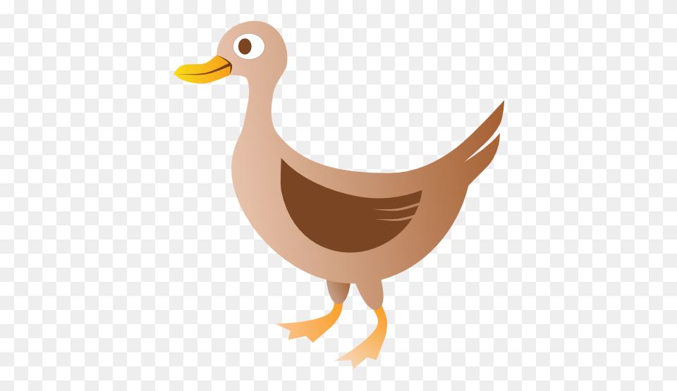 Duck Clip Art, Animal, Beak, Bird Free Png