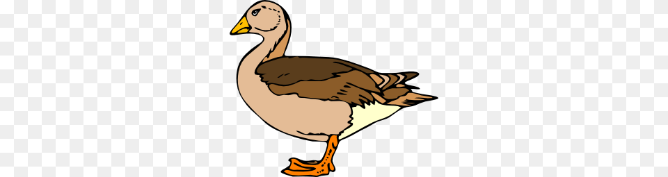 Duck Clip Art Fajne Clip Art, Animal, Bird, Goose, Waterfowl Png Image