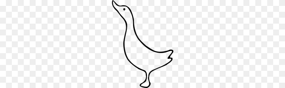 Duck Clip Art For Web, Gray Free Transparent Png