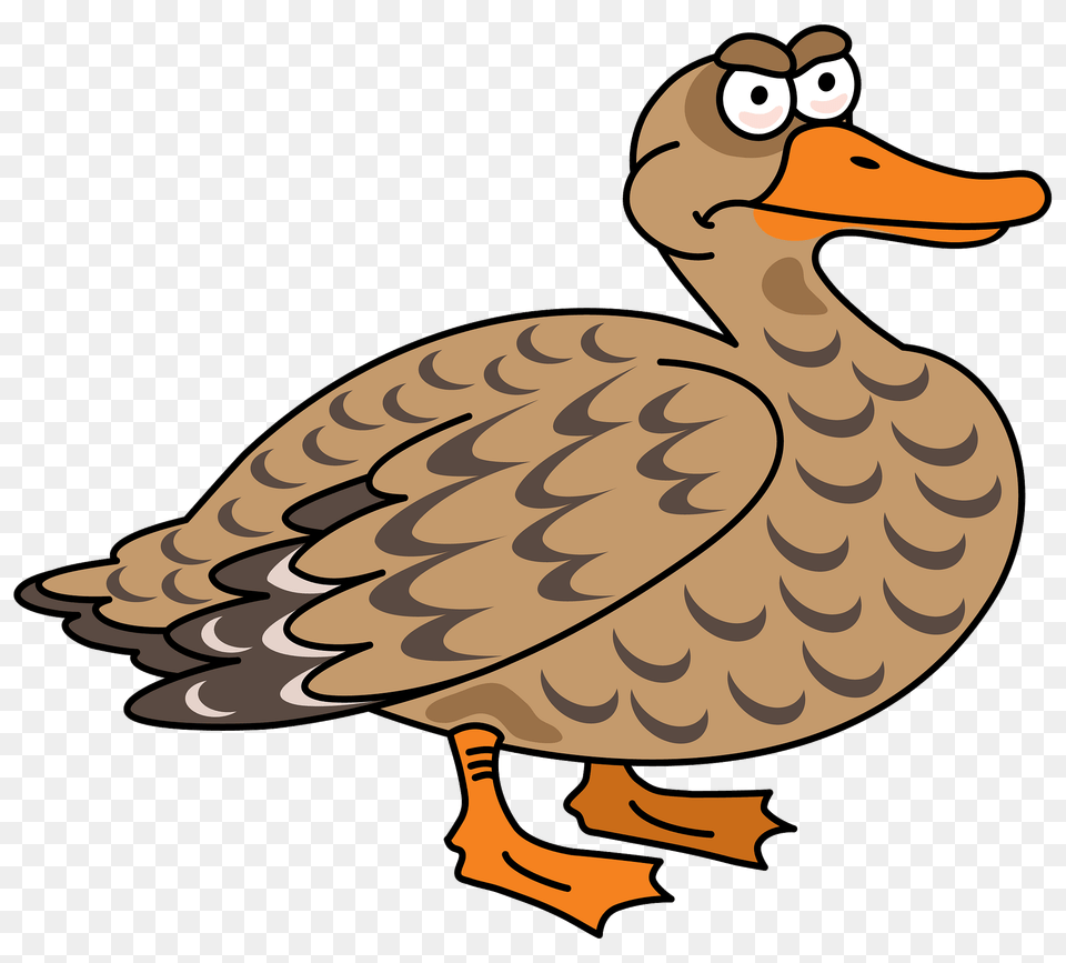 Duck Clipart, Animal, Beak, Bird, Waterfowl Png