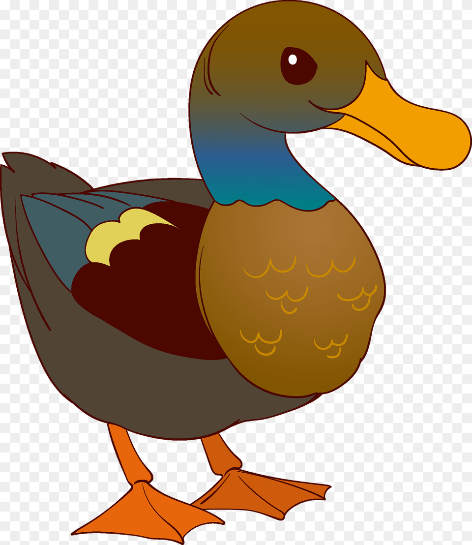Duck Clipart, Animal, Anseriformes, Bird, Waterfowl Free Transparent Png