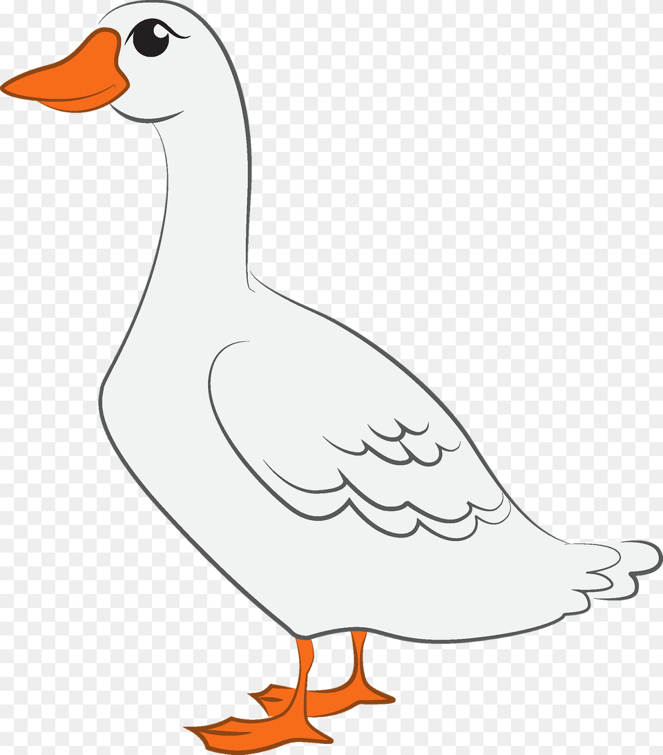 Duck Clipart, Animal, Bird, Goose, Waterfowl Free Png