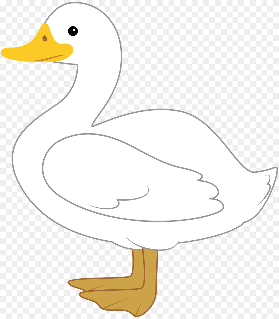 Duck Clipart, Animal, Anseriformes, Bird, Waterfowl Free Png