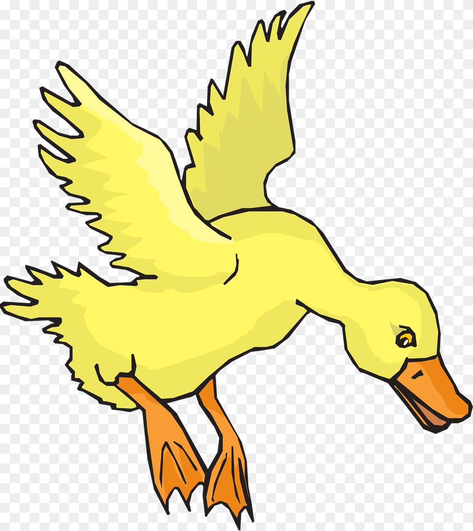 Duck Clipart, Animal, Bird, Baby, Person Png