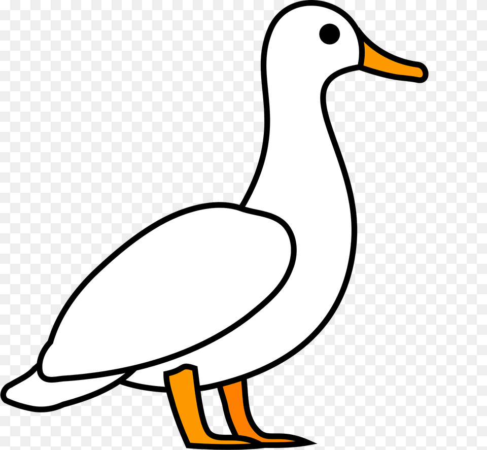 Duck Clipart, Animal, Bird, Beak, Waterfowl Free Transparent Png