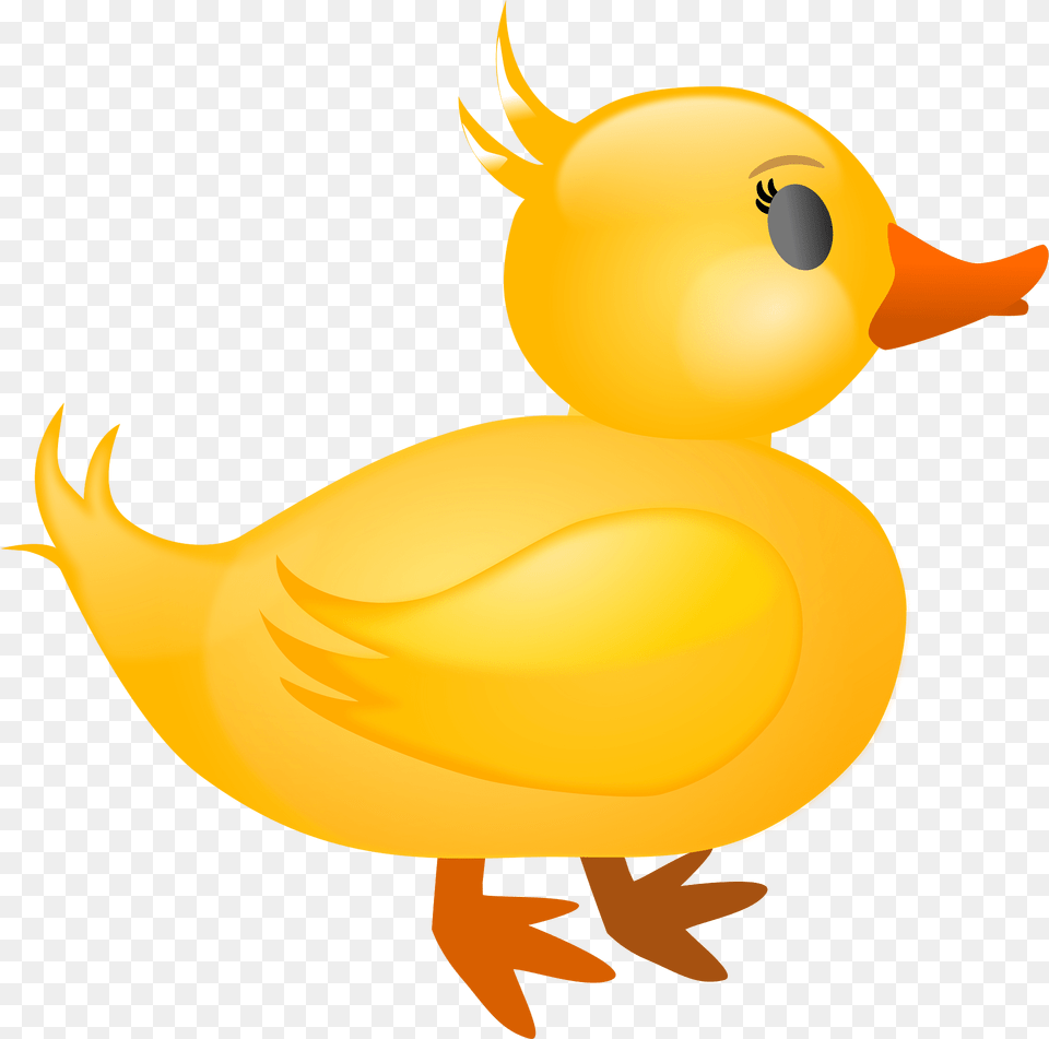 Duck Clipart, Animal, Bird Png