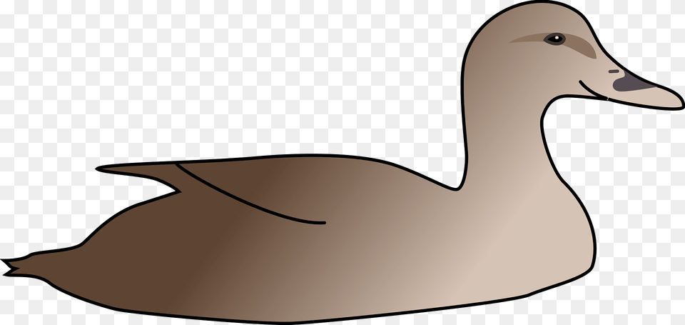 Duck Clipart, Animal, Bird, Anseriformes, Waterfowl Free Png