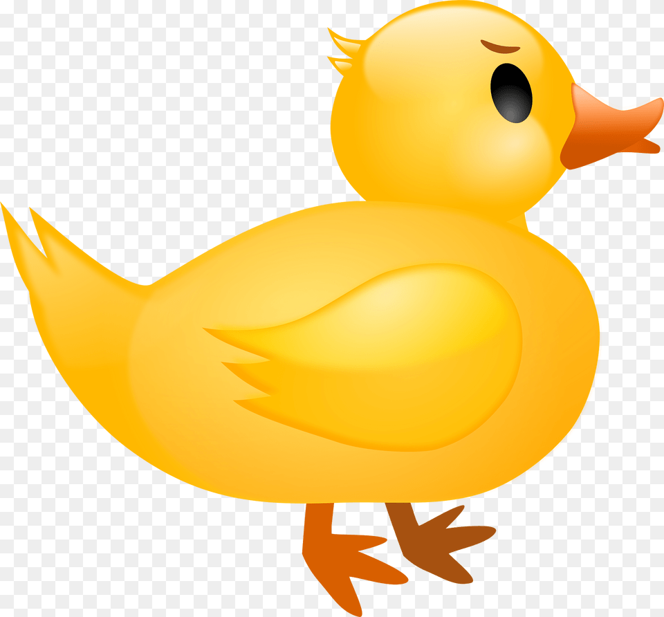 Duck Clipart, Animal, Bird Png