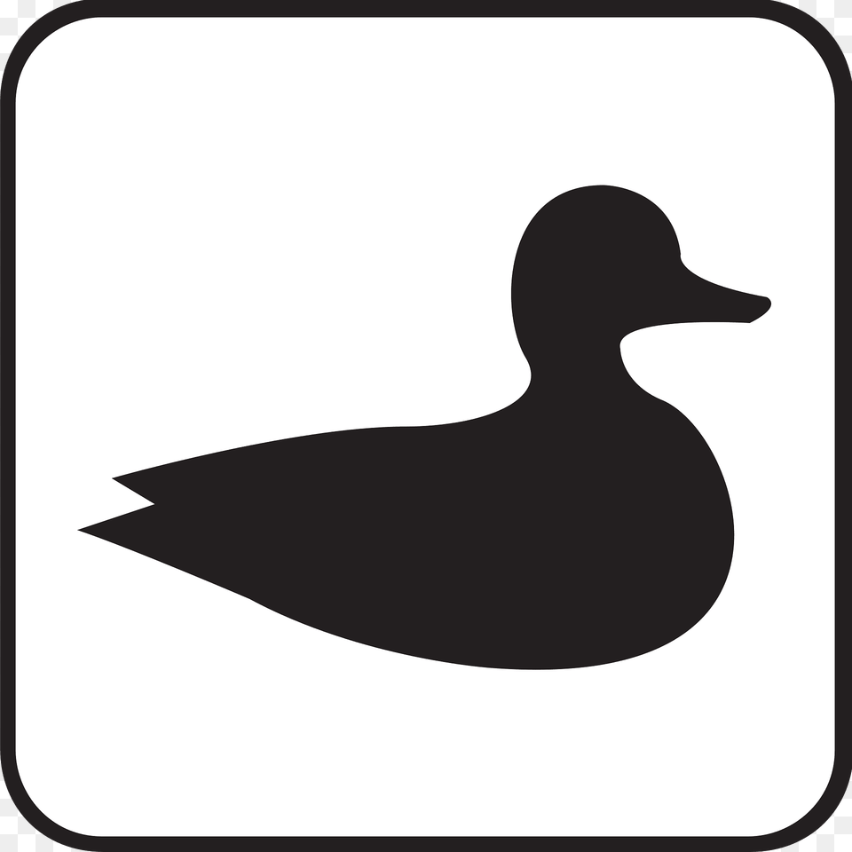 Duck Clipart, Animal, Bird, Anseriformes, Smoke Pipe Free Png Download