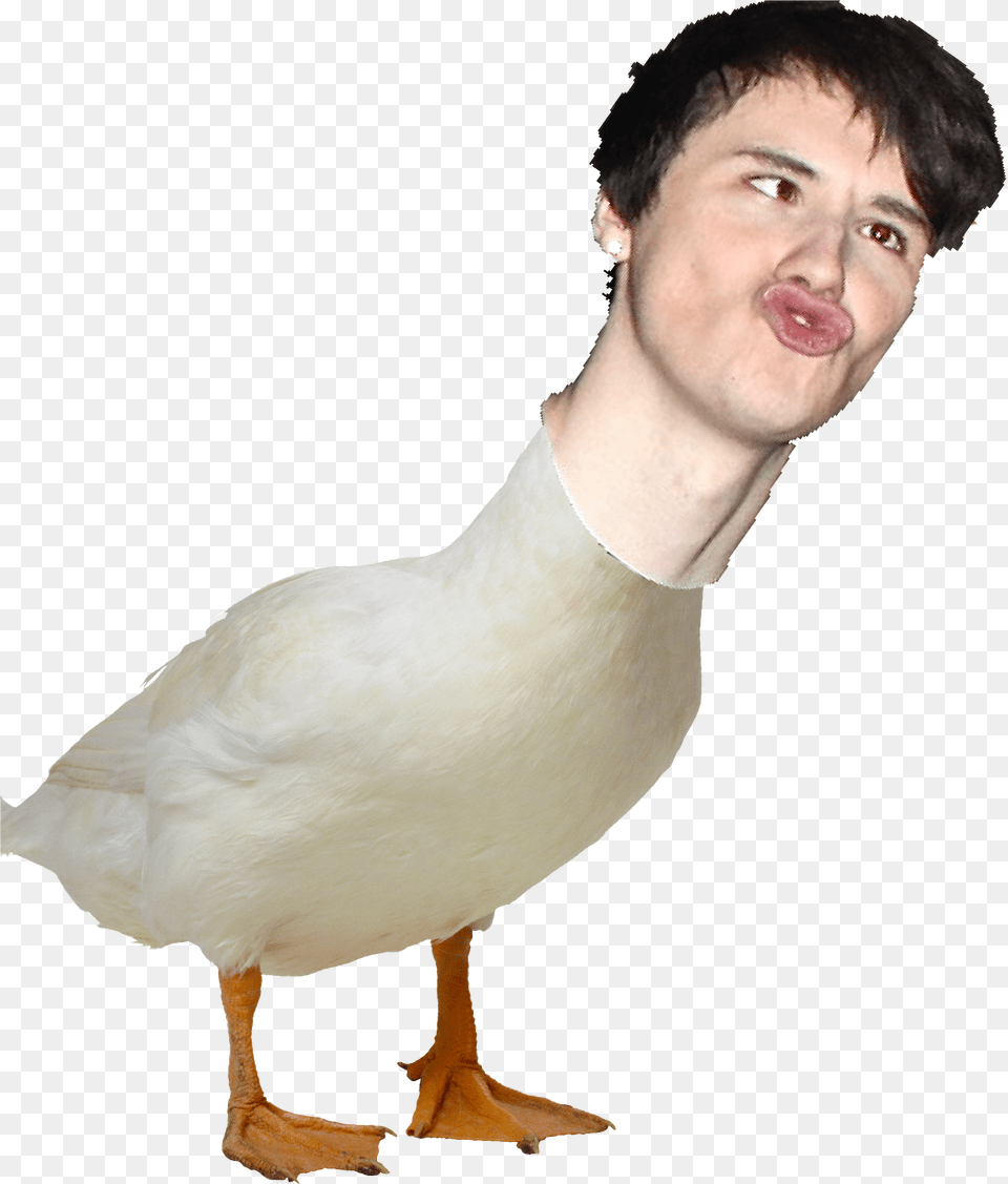 Duck Clipart, Adult, Person, Man, Male Free Transparent Png