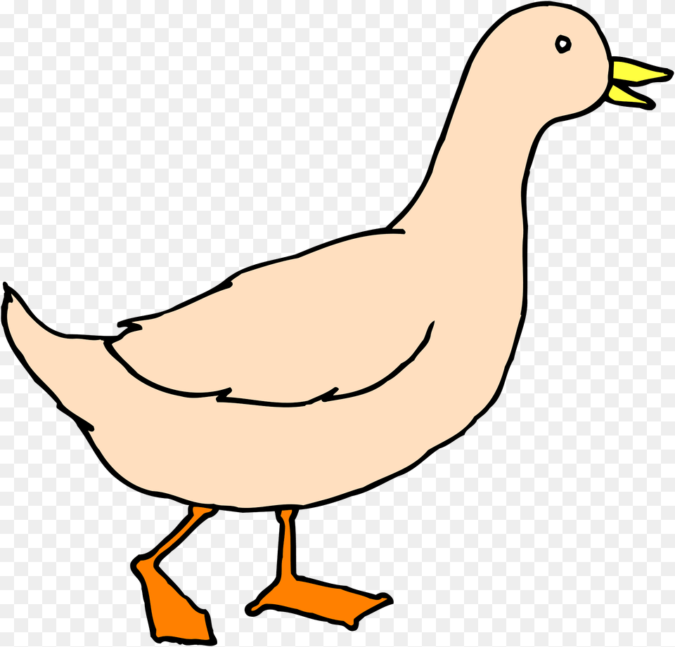 Duck Clipart, Animal, Bird, Goose, Waterfowl Png Image