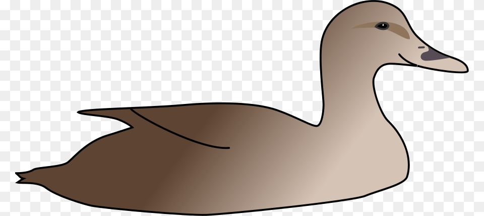 Duck Clipart For Web, Animal, Bird, Anseriformes, Waterfowl Free Transparent Png