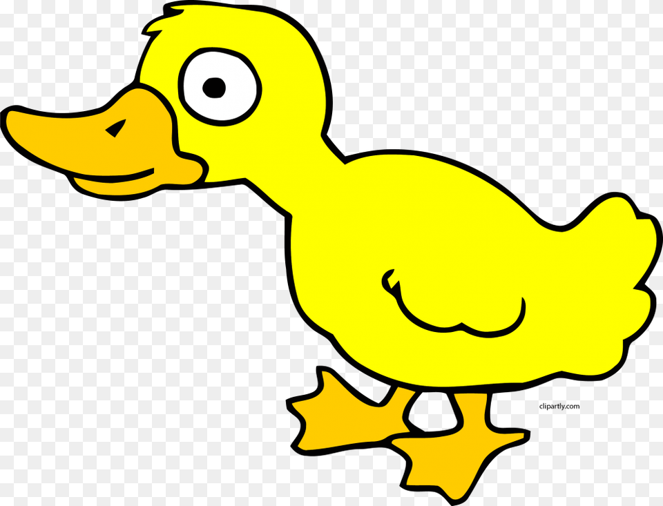 Duck Clipart Gif, Animal, Bird, Beak, Dinosaur Png