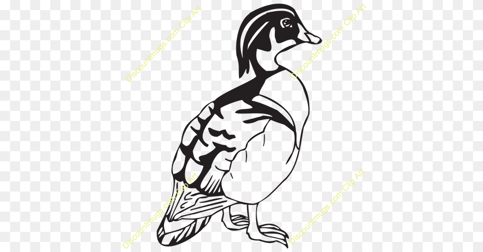 Duck Clipart Wood Duck, Animal, Bird, Waterfowl Png