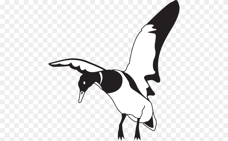 Duck Commander Logo Clipart, Animal, Bird, Goose, Stencil Free Png