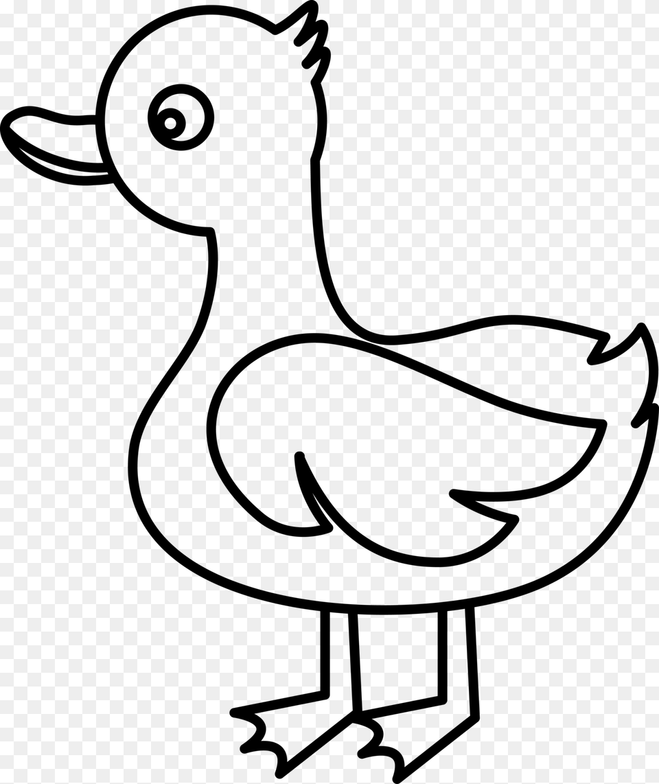 Duck Cygnini Clip Art, Gray Free Png Download