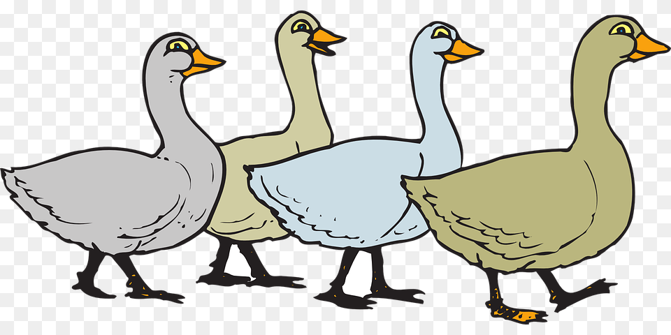 Duck Domestic Goose Clip Art, Animal, Bird, Waterfowl, Penguin Free Png Download