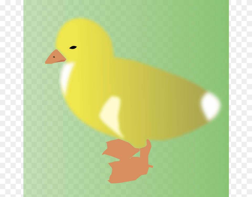 Duck Drawing Yellow Chicken Cartoon Drawing, Animal, Beak, Bird, Fish Png Image
